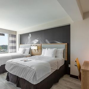 Double Room 2 Double Beds Disability Access